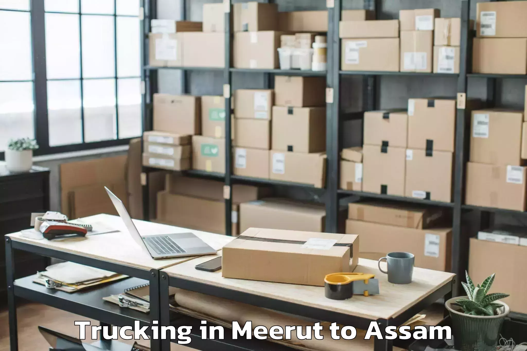 Easy Meerut to Sapatgram Trucking Booking